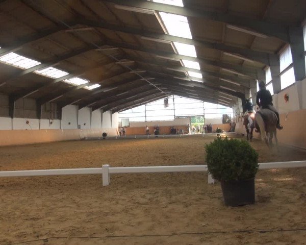 Reitturnier Datteln 2018