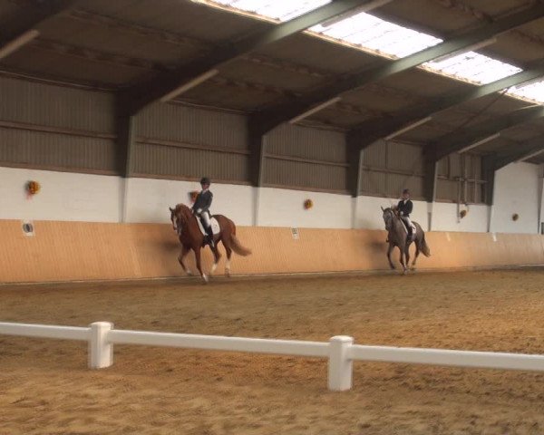 Reitturnier Datteln 2018