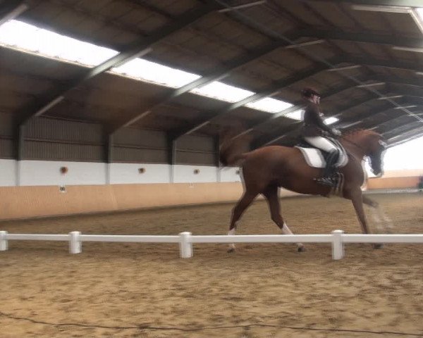 Reitturnier Datteln 2018