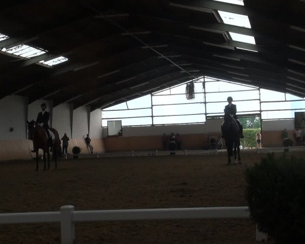Reitturnier Datteln 2018