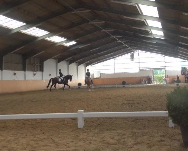 Reitturnier Datteln 2018