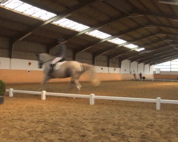 Reitturnier Datteln 2018