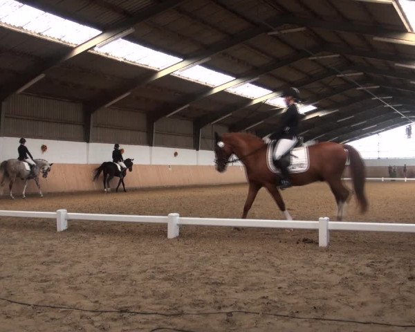 Reitturnier Datteln 2018