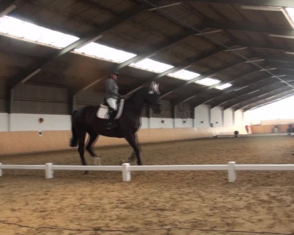 Reitturnier Datteln 2018