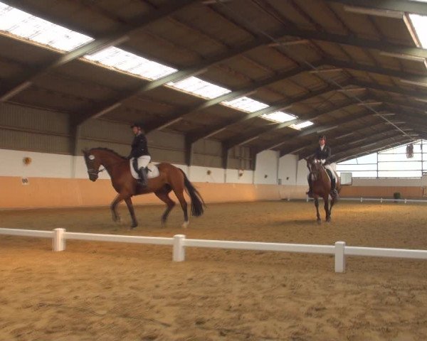 Reitturnier Datteln 2018