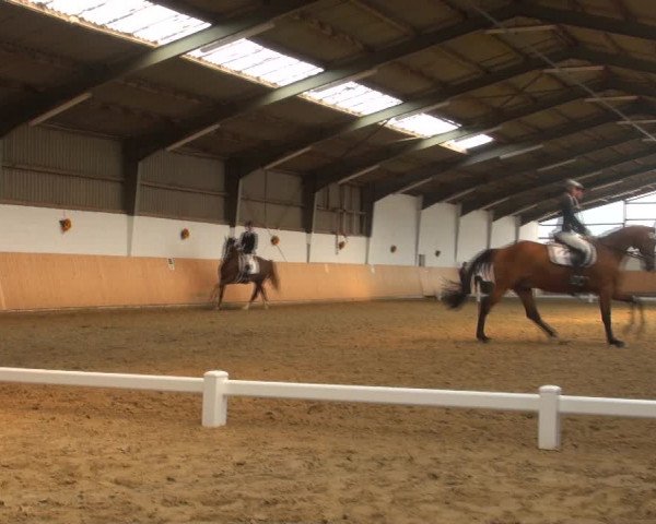 Reitturnier Datteln 2018