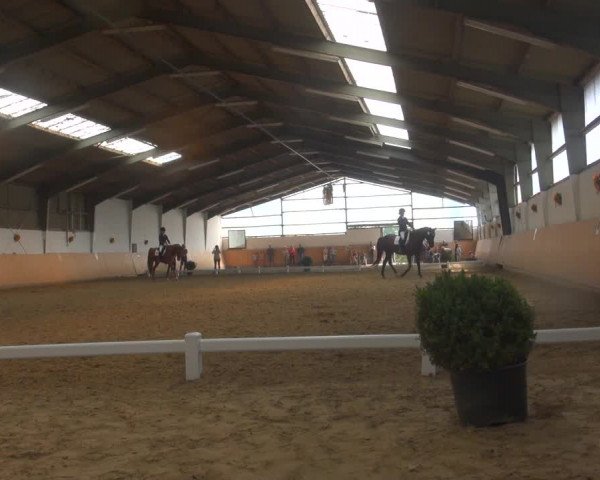 Reitturnier Datteln 2018