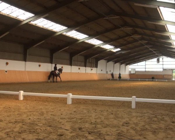 Reitturnier Datteln 2018
