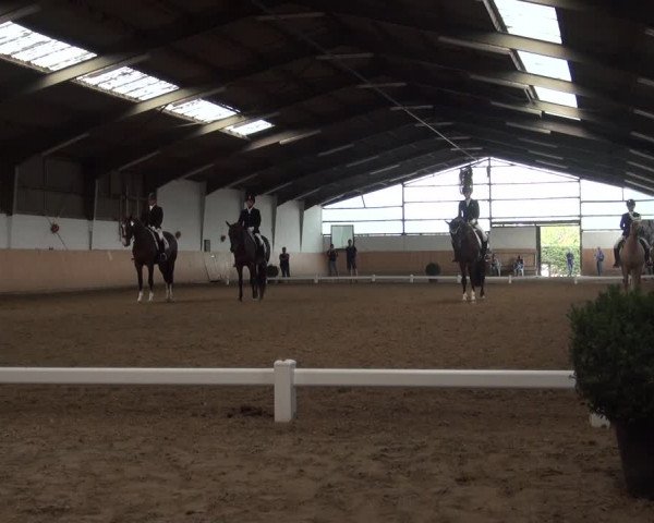 Reitturnier Datteln 2018