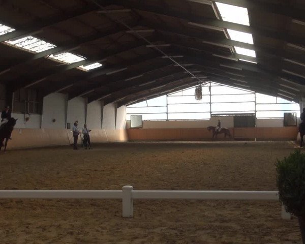 Reitturnier Datteln 2018