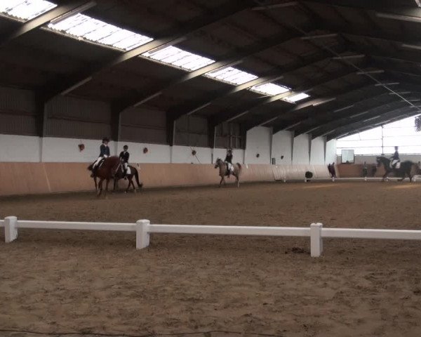 Reitturnier Datteln 2018