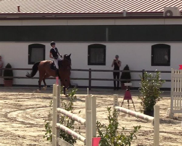 Reitturnier Hamburg-Klein Offenseth/Hell-Stallion-Stud 2018