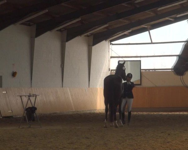 Reitturnier Datteln 2018