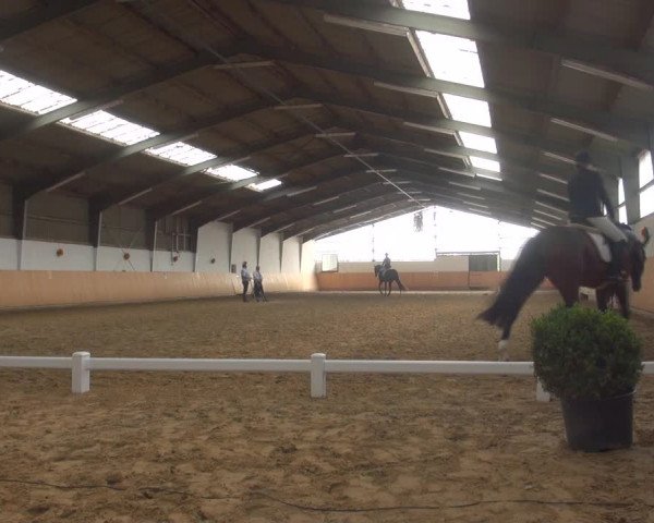 Reitturnier Datteln 2018