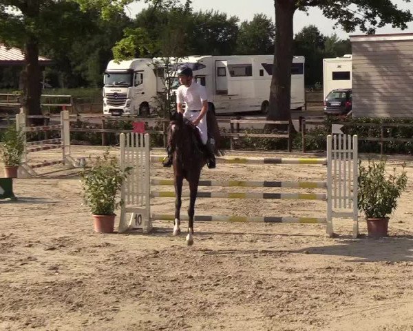 Reitturnier Hamburg-Klein Offenseth/Hell-Stallion-Stud 2018