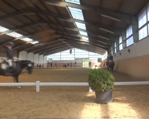 Reitturnier Datteln 2018