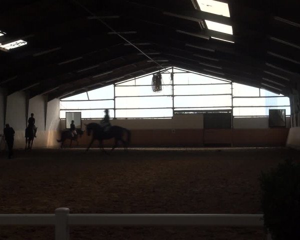 Reitturnier Datteln 2018