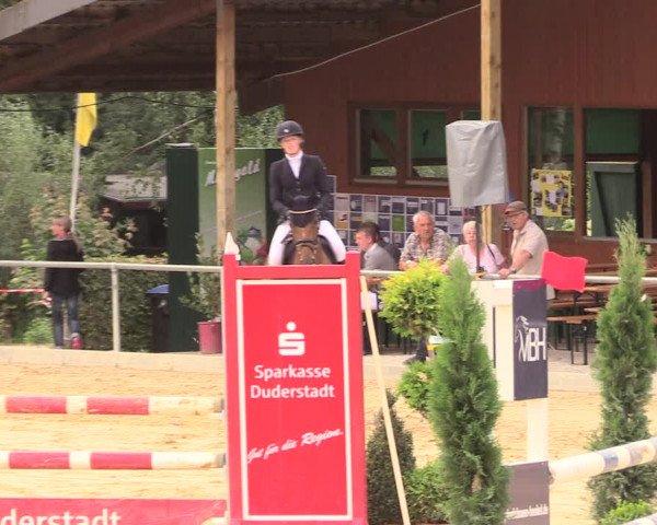 Reitturnier Duderstadt 2018
