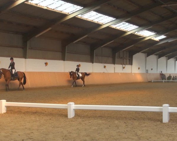 Reitturnier Datteln 2018