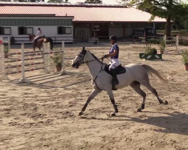 Reitturnier Hamburg-Klein Offenseth/Hell-Stallion-Stud 2018