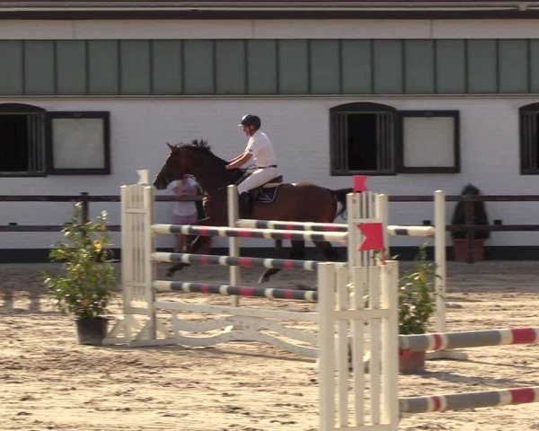 Reitturnier Hamburg-Klein Offenseth/Hell-Stallion-Stud 2018