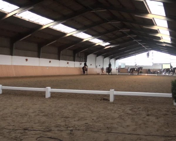 Reitturnier Datteln 2018