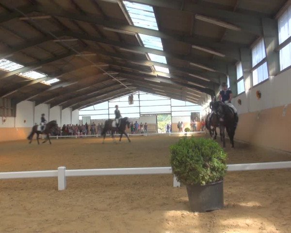 Reitturnier Datteln 2018