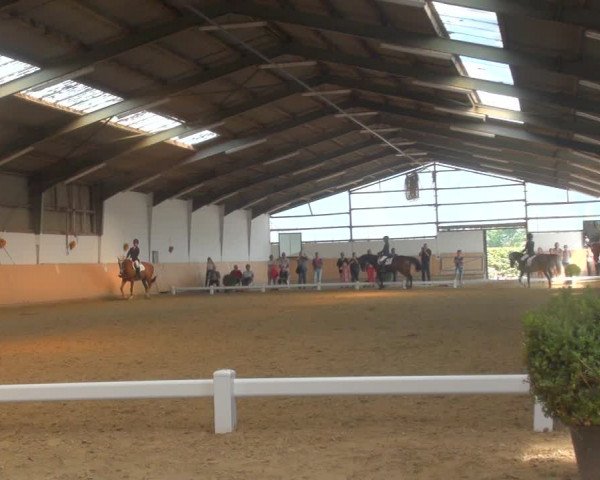 Reitturnier Datteln 2018