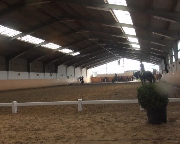 Reitturnier Datteln 2018