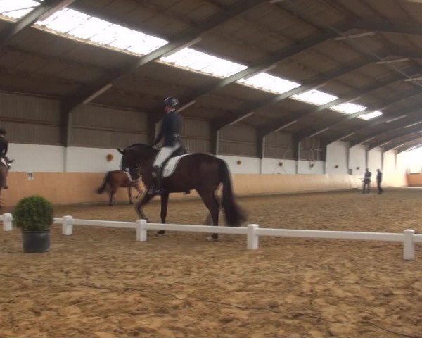 Reitturnier Datteln 2018