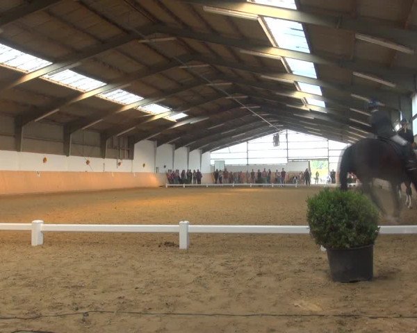 Reitturnier Datteln 2018