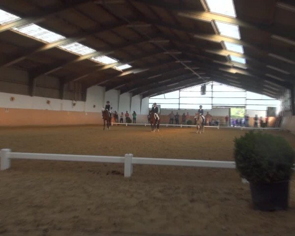 Reitturnier Datteln 2018