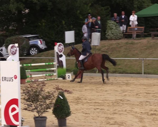 Reitturnier Duderstadt 2018