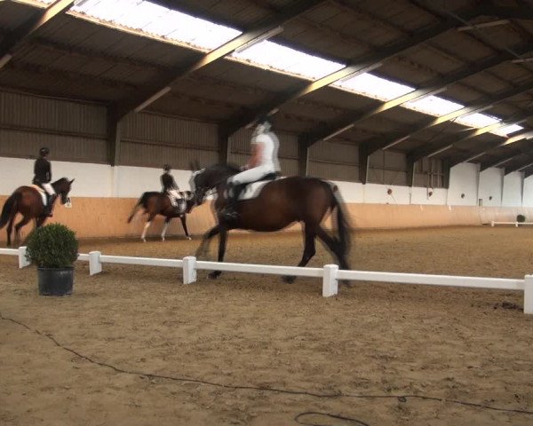 Reitturnier Datteln 2018
