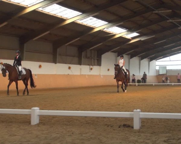 Reitturnier Datteln 2018