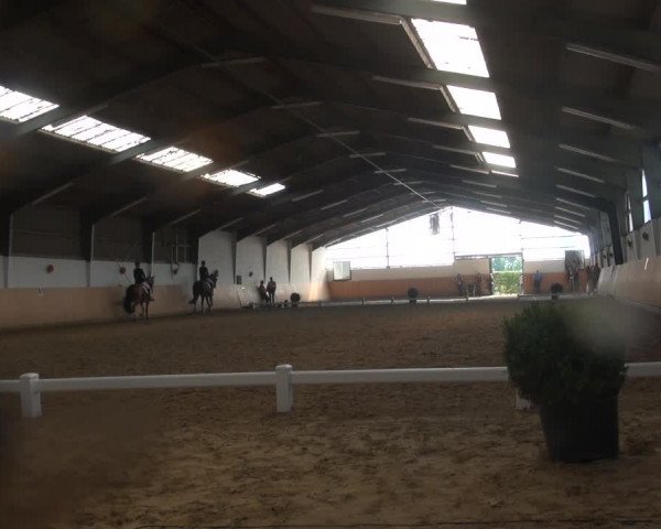 Reitturnier Datteln 2018