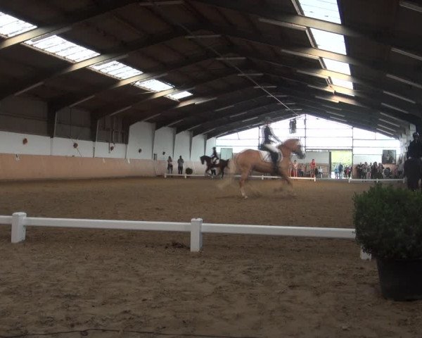 Reitturnier Datteln 2018