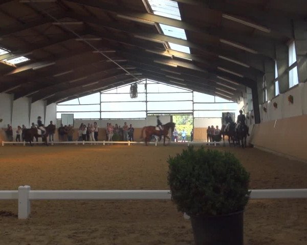 Reitturnier Datteln 2018