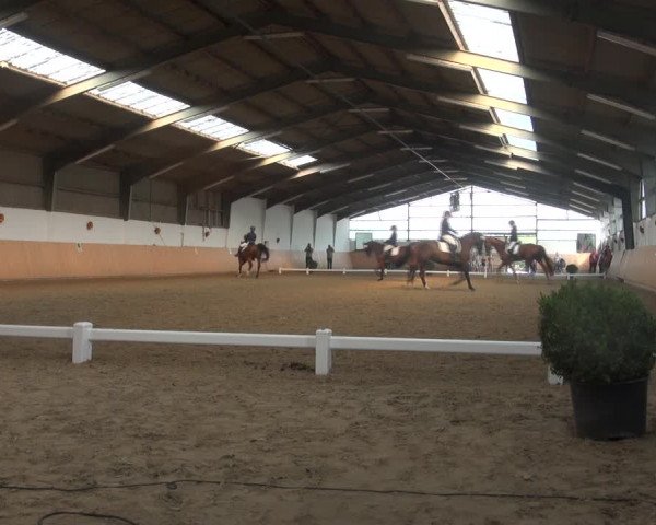 Reitturnier Datteln 2018