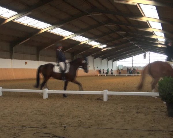 Reitturnier Datteln 2018