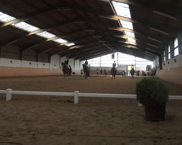 Reitturnier Datteln 2018