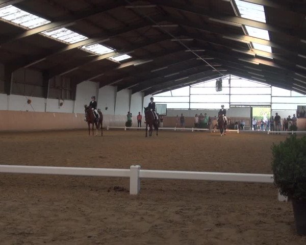 Reitturnier Datteln 2018