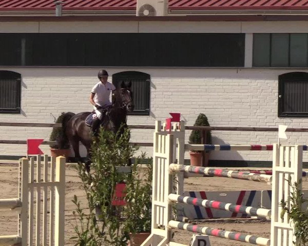 Reitturnier Hamburg-Klein Offenseth/Hell-Stallion-Stud 2018