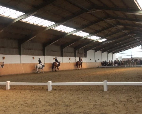 Reitturnier Datteln 2018