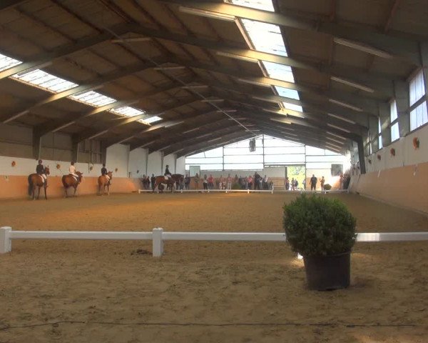 Reitturnier Datteln 2018