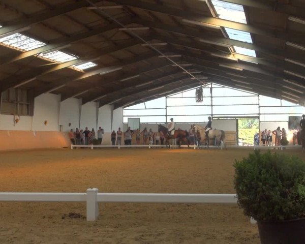 Reitturnier Datteln 2018