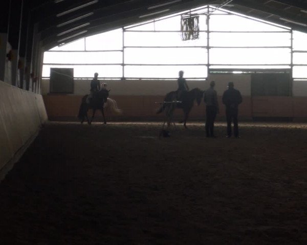 Reitturnier Datteln 2018