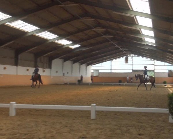 Reitturnier Datteln 2018