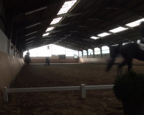 Reitturnier Datteln 2018