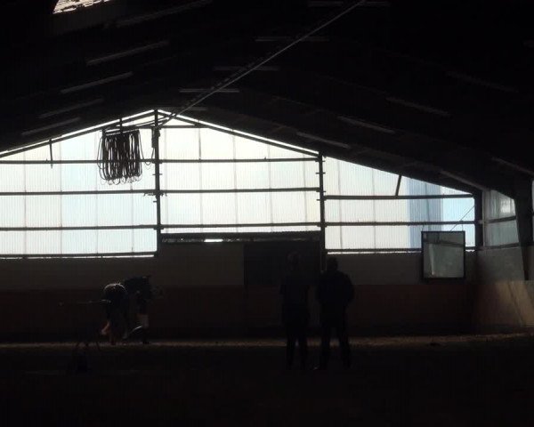 Reitturnier Datteln 2018